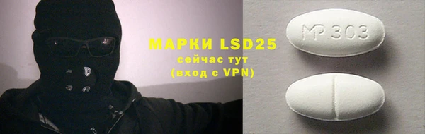 ГАЛЛЮЦИНОГЕННЫЕ ГРИБЫ Беломорск