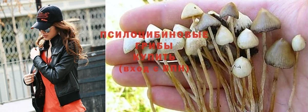 ГАЛЛЮЦИНОГЕННЫЕ ГРИБЫ Беломорск